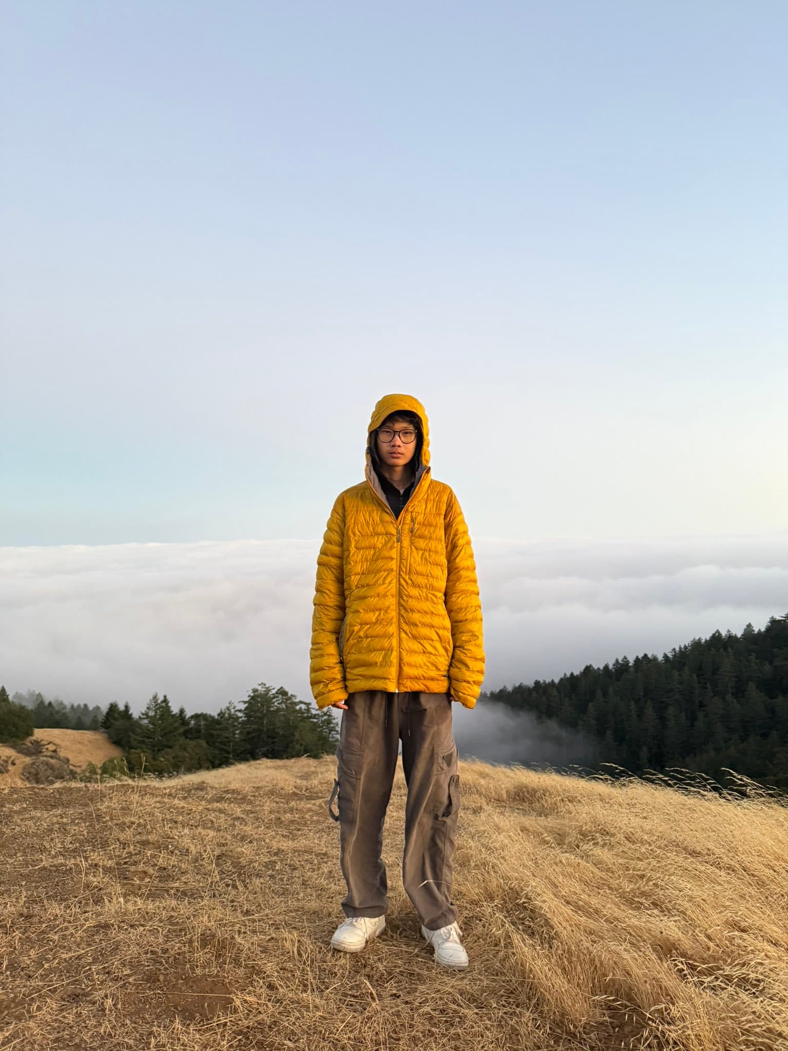 above the fog